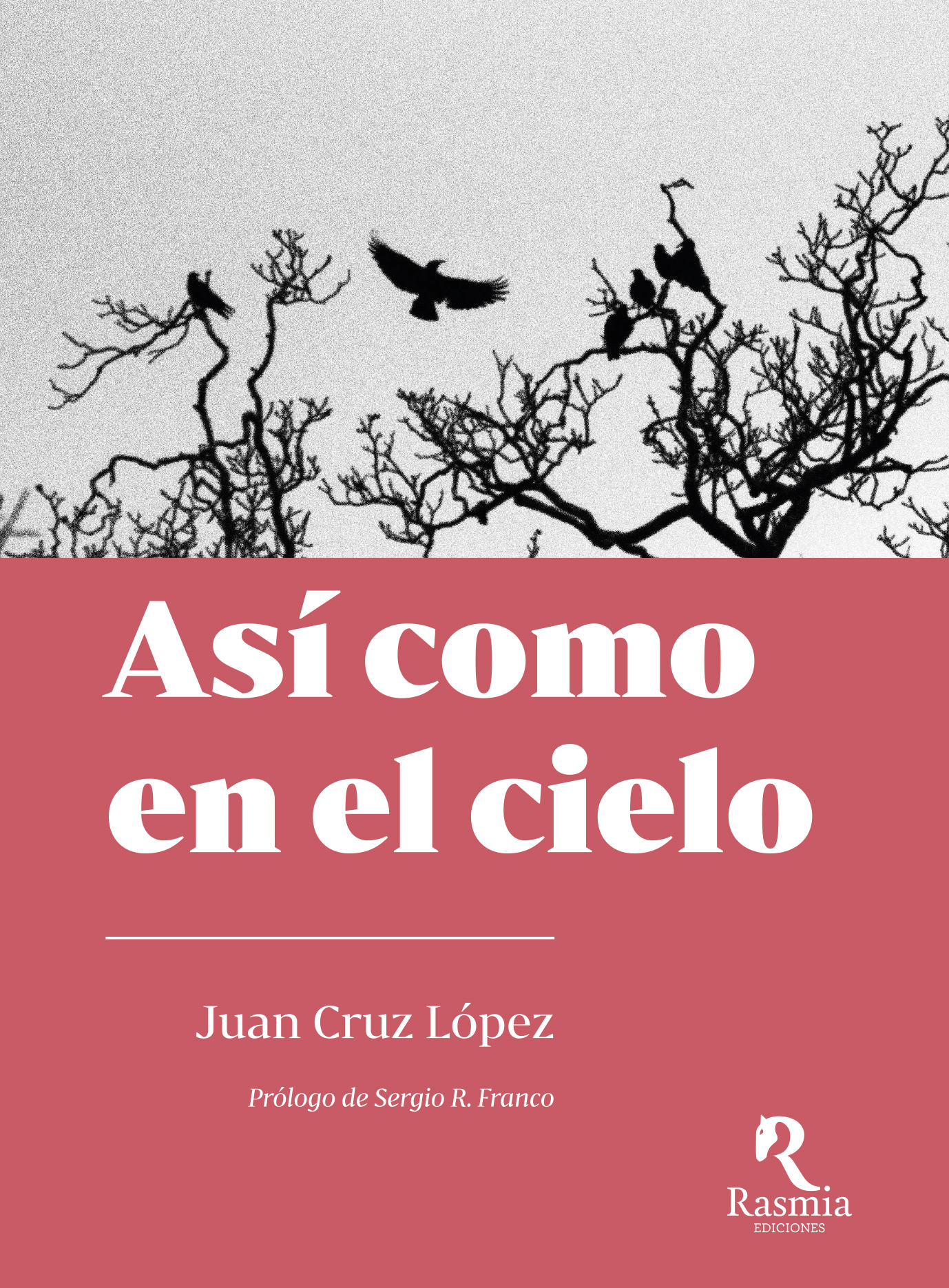 ASÍ COMO EN EL CIELO - Juan Cruz López