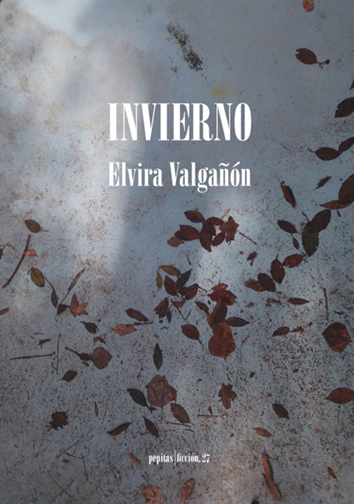 Invierno - Elvira Valgañón