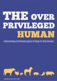 THE OVER PRIVILEGED HUMAN - Amanda R. Williams | Paislee House